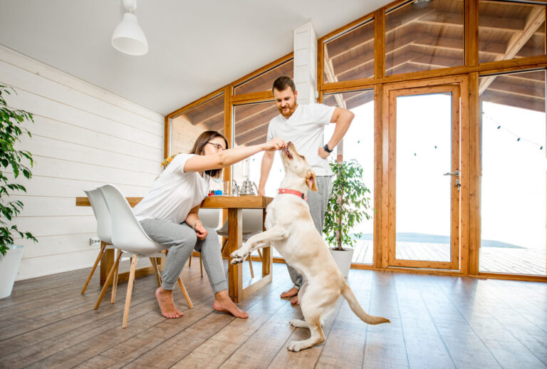 Doe Run neighborhood